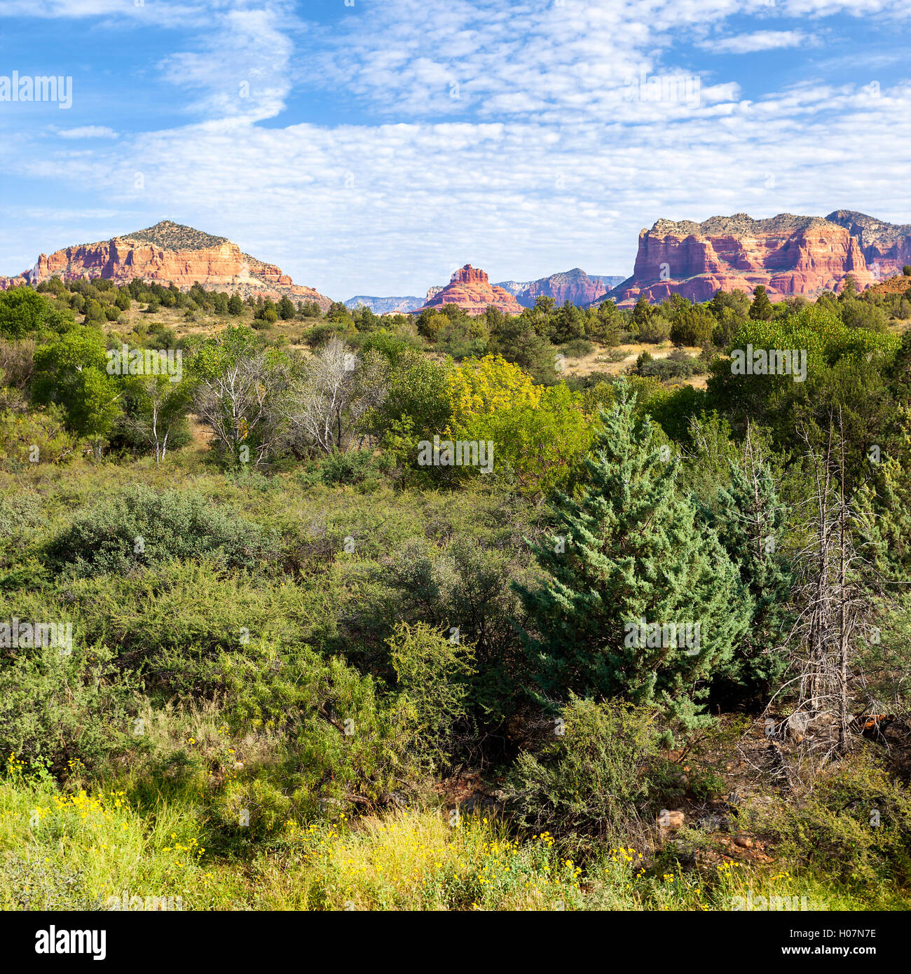 Landscape Photography Red Rocks red rock landscape Stock Photo - Alamy