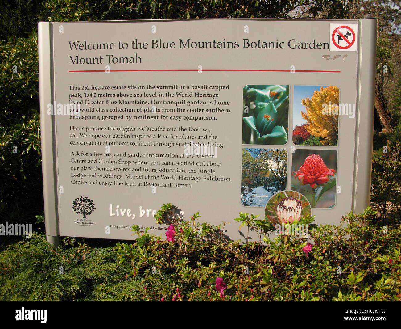 Signage, Blue Mountains Botanic Garden, Mount Tomah, Blue Mountains, New South Wales, Australia Stock Photo