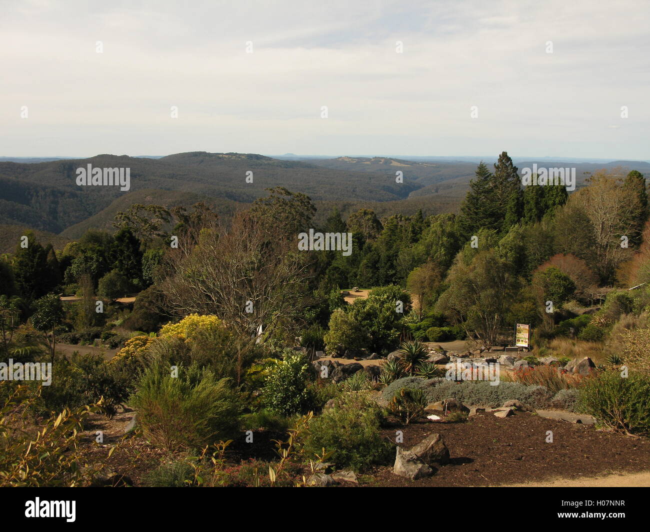 Landscape view, Blue Mountains Botanic Garden, Mount Tomah, Blue Mountains, New South Wales, Australia Stock Photo
