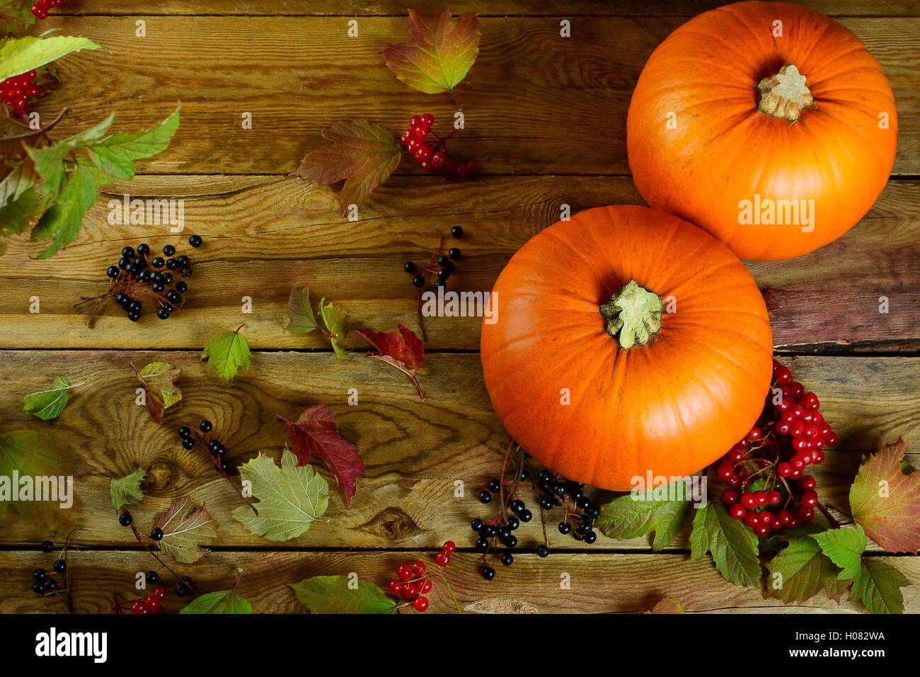 Thanksgiving concept  with pumpkins, berries and apples. Autumn background with seasonal vegetables and fruits. Stock Photo