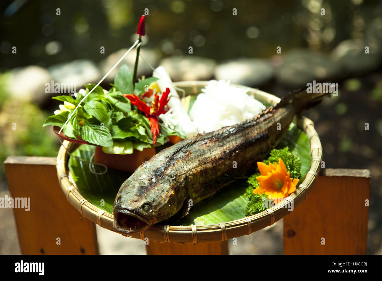 Grilled snake head fish Stock Photo