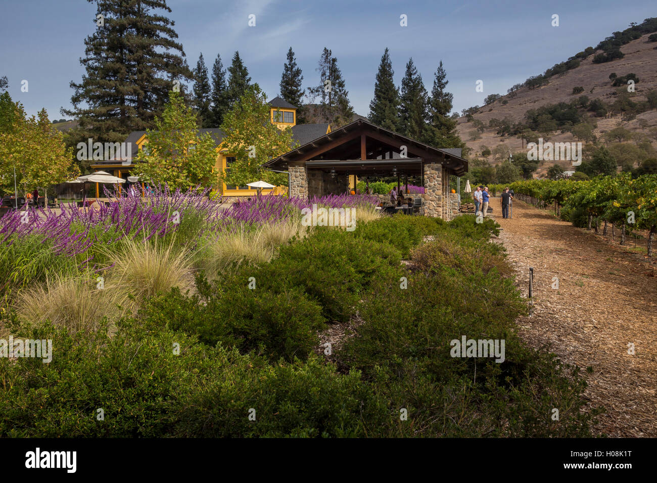 Yountville ava hires stock photography and images Alamy