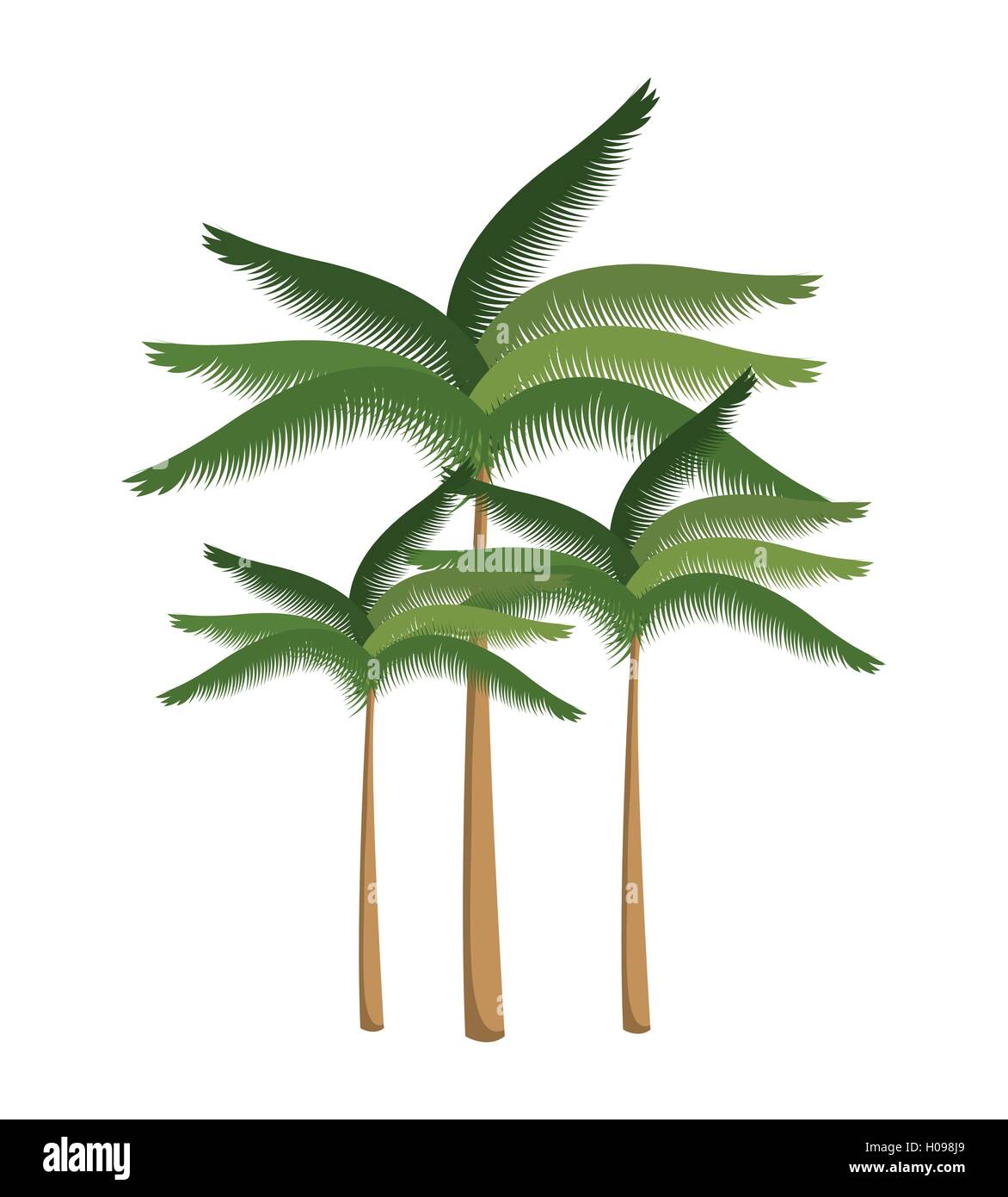 palm tree beach design isolated Stock Vector Image & Art - Alamy