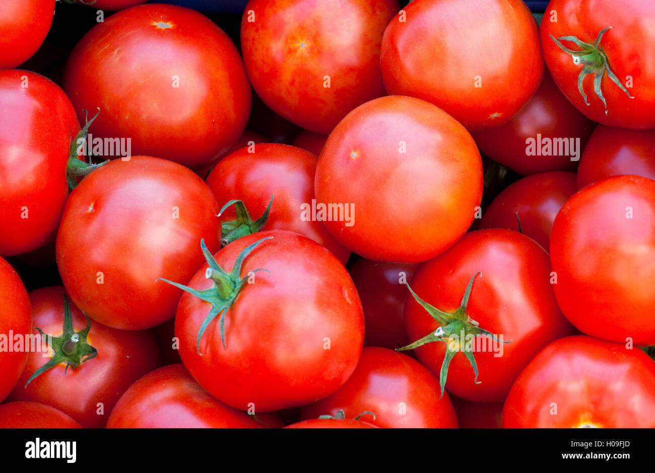Group of ripe fresh red tomatoes on a market Stock Photo - Alamy