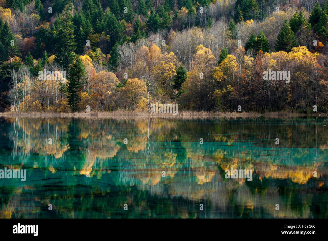 Jiuzhaigou on the edge of the Tibetan Plateau, located in the north of Sichuan Province, China Stock Photo