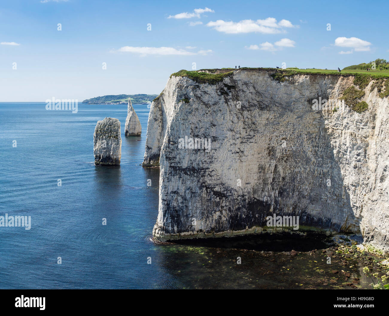 The Chalk cliffs of Ballard Down with The Pinnacles Stack, Swanage Bay, Isle of Purbeck, Jurassic Coast, UNESCO, Dorset, UK Stock Photo