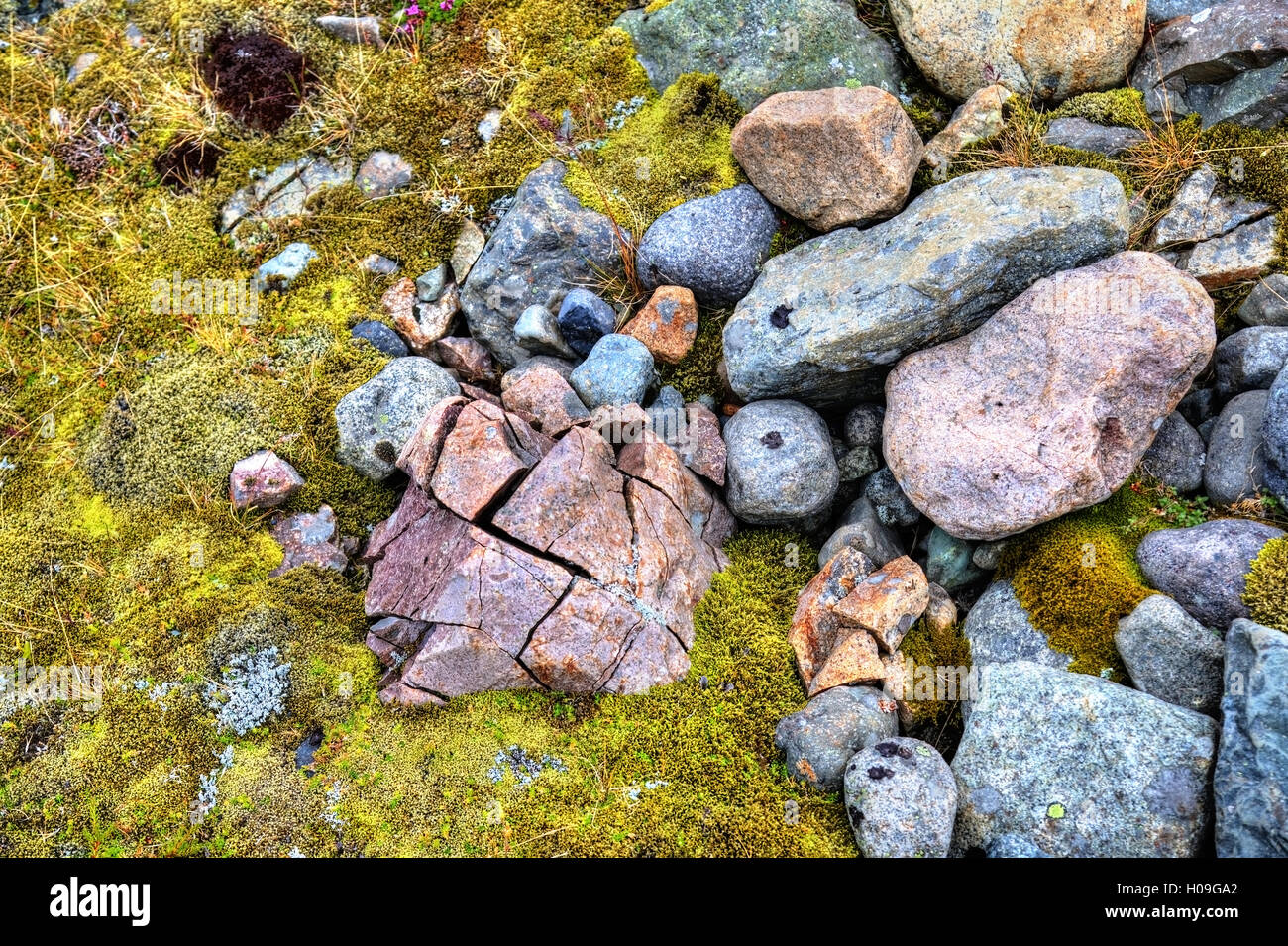 Stones and moss in South Iceland Stock Photo