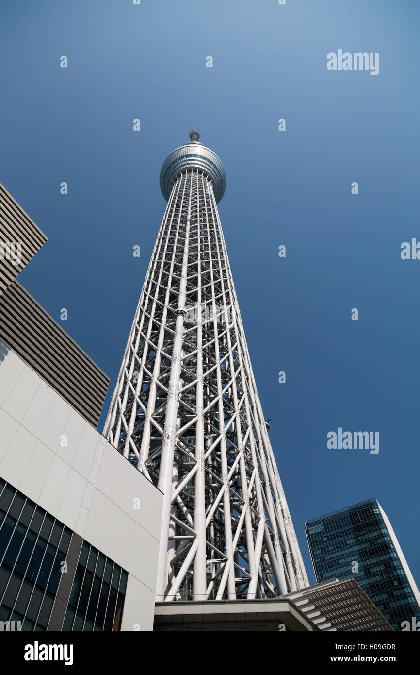 Looking up at Tokyo Skytree tower, Tokyo, Japan, Asia Stock Photo
