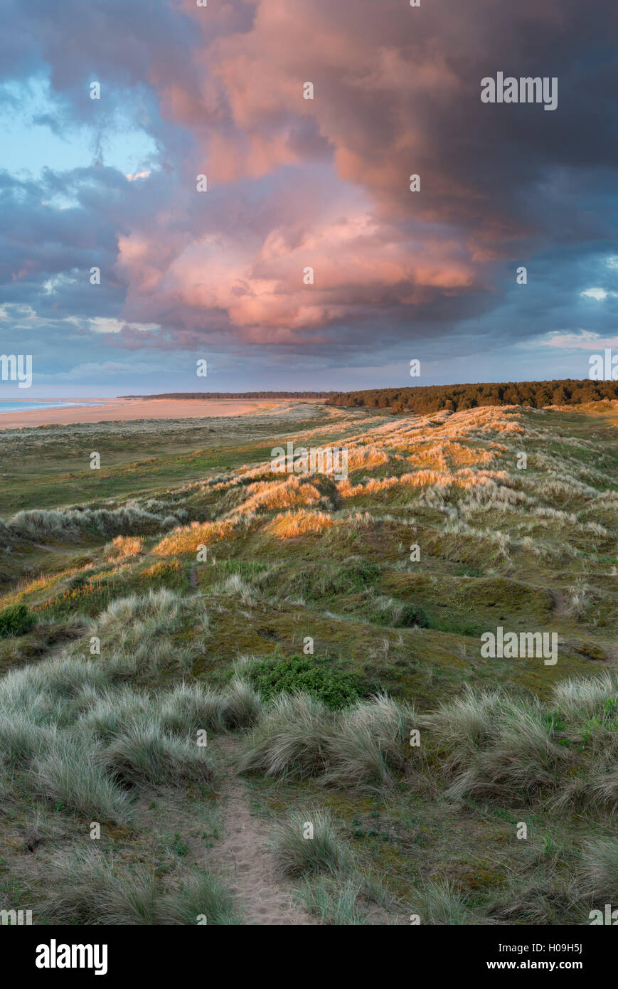 A view from the dunes of Holkham Bay, Norfolk, England, United Kingdom, Europe Stock Photo