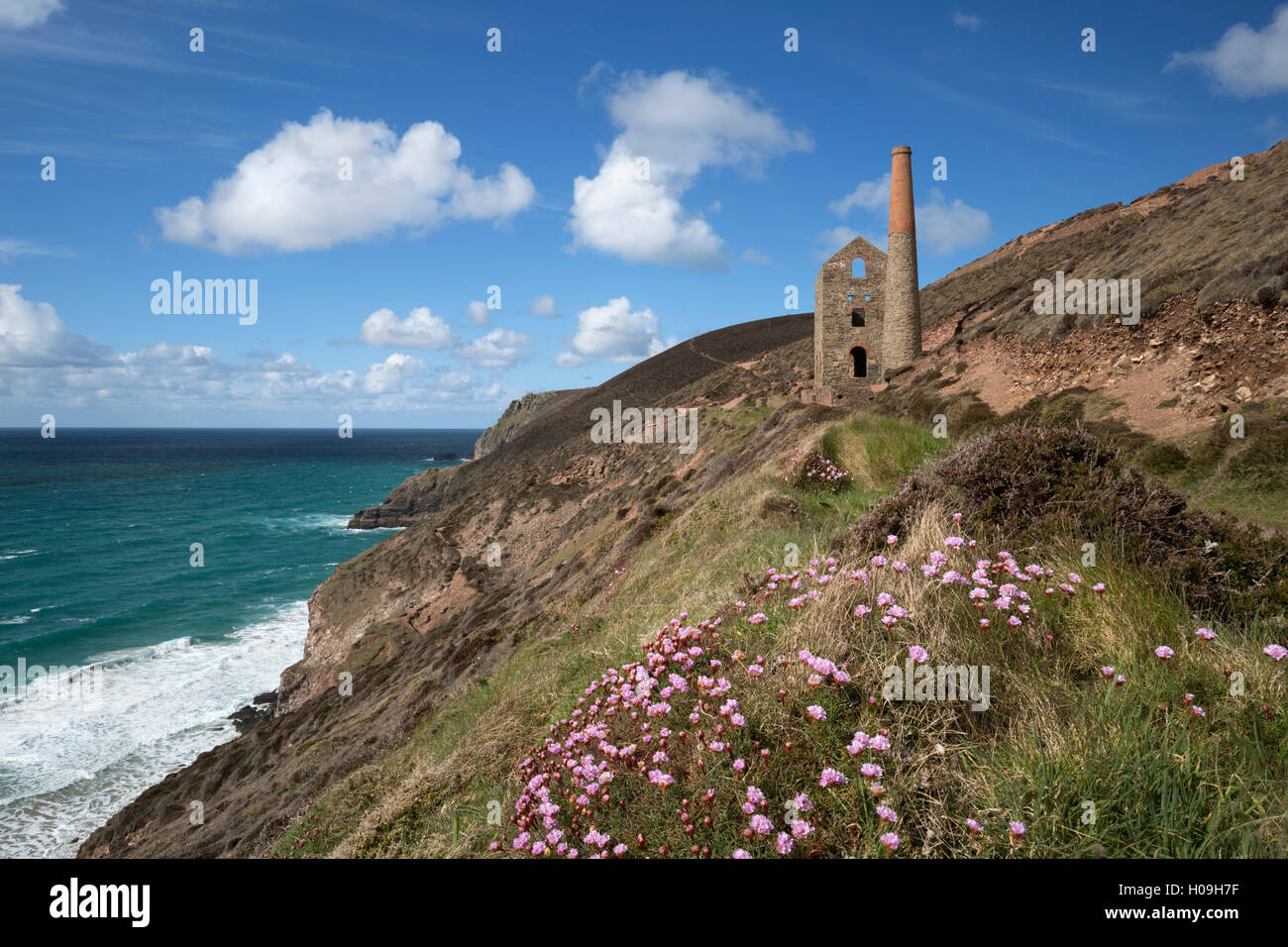 Wheal Coates Engine House, UNESCO World Heritage Site, and coastline with thrift flowers, St. Agnes, Cornwall, England, UK Stock Photo