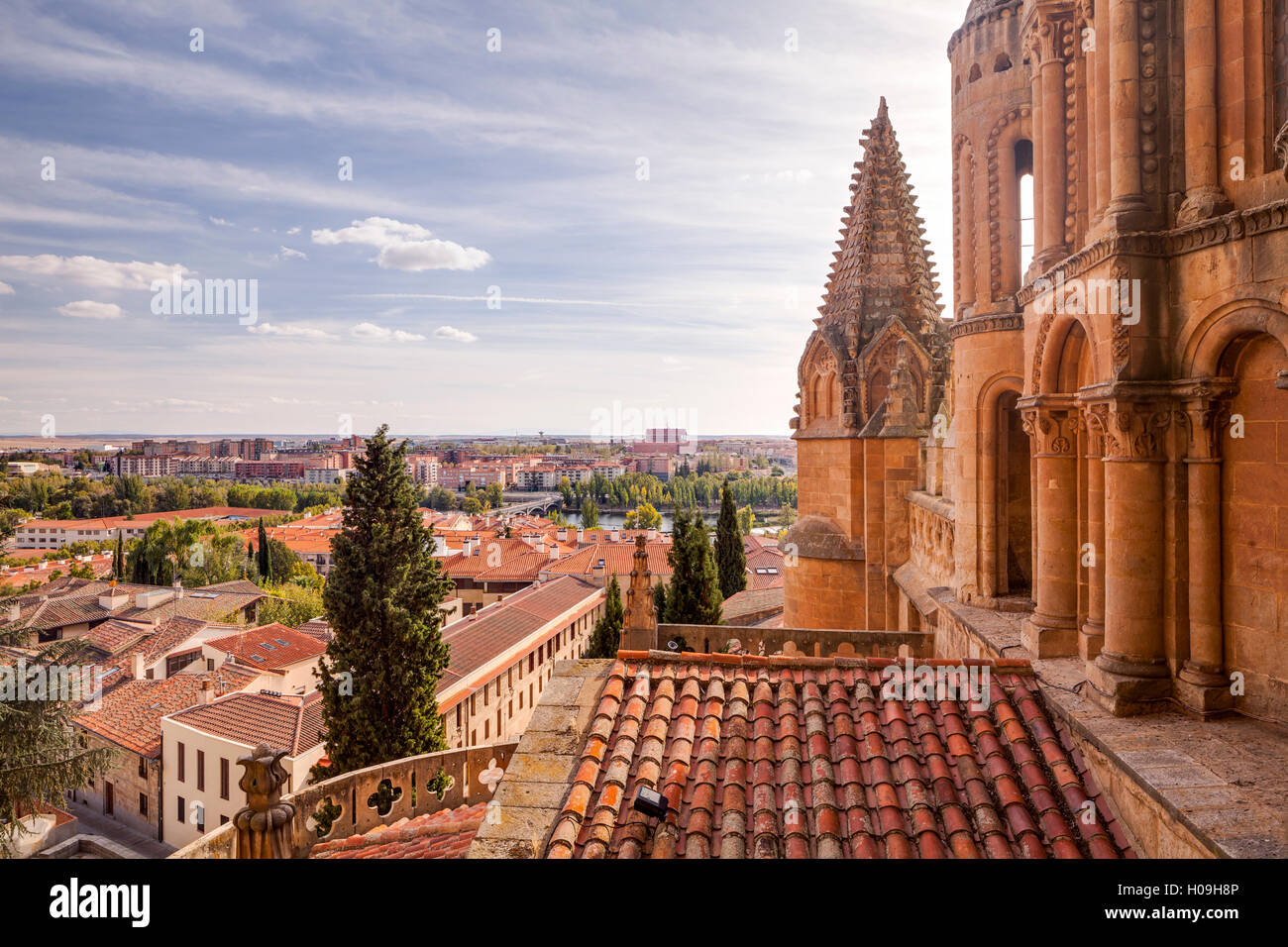 The cathedral in Salamanca, UNESCO World Heritage Site, Castile and Leon, Spain, Europe Stock Photo