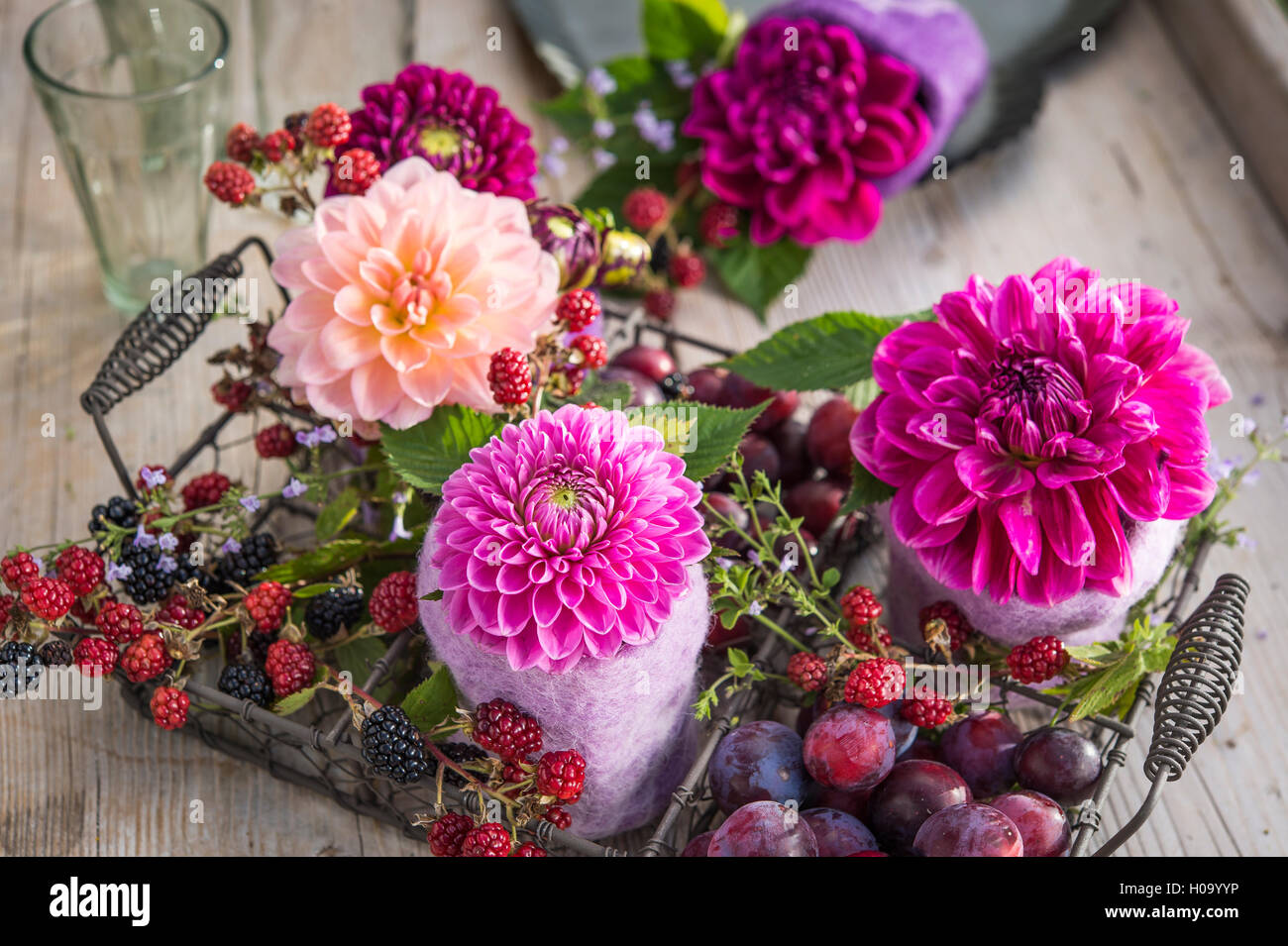 Vases de dahlias hires stock photography and images Alamy
