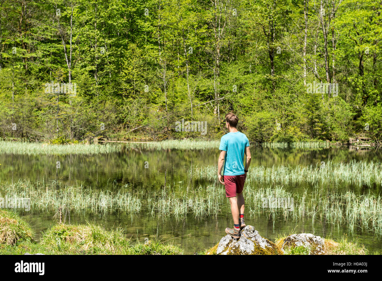 Young man standing on stone at lake, Mittersee, Salet am Königssee, National Park Berchtesgaden, Berchtesgadener Land Stock Photo
