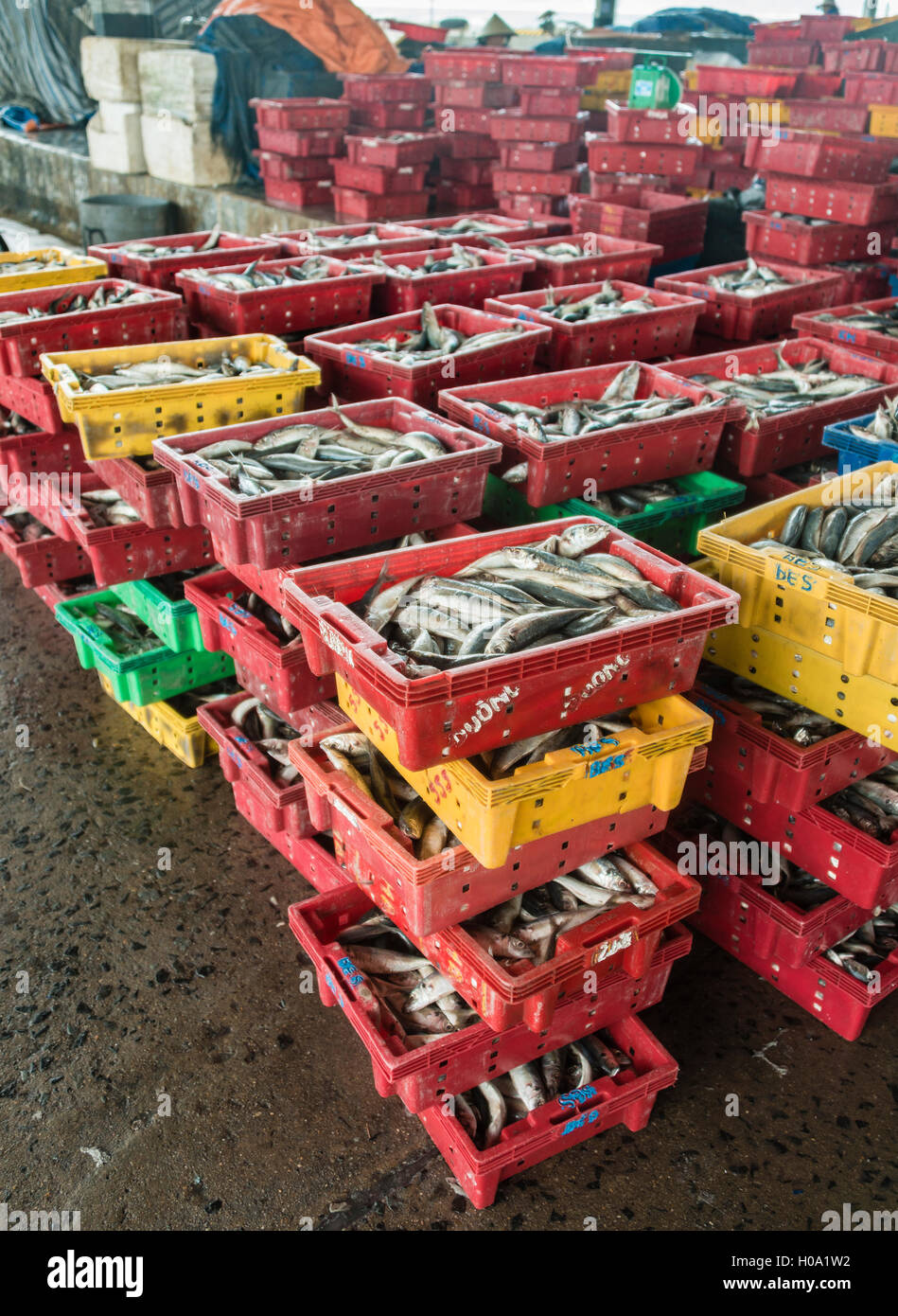 Boxes of freshly caught fish hi-res stock photography and images - Alamy