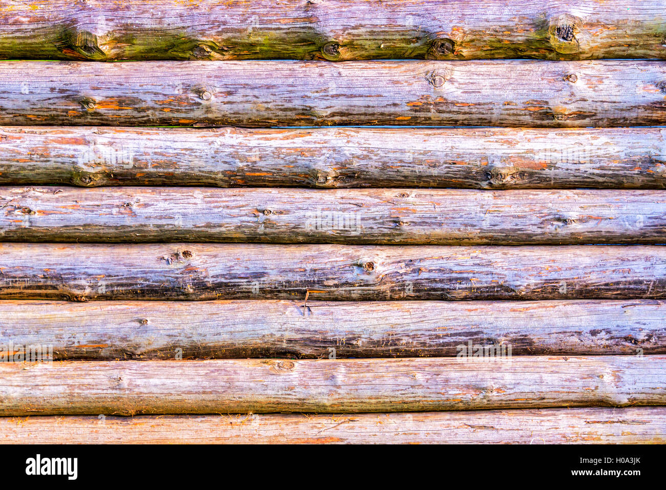 Wood log wall background Stock Photo