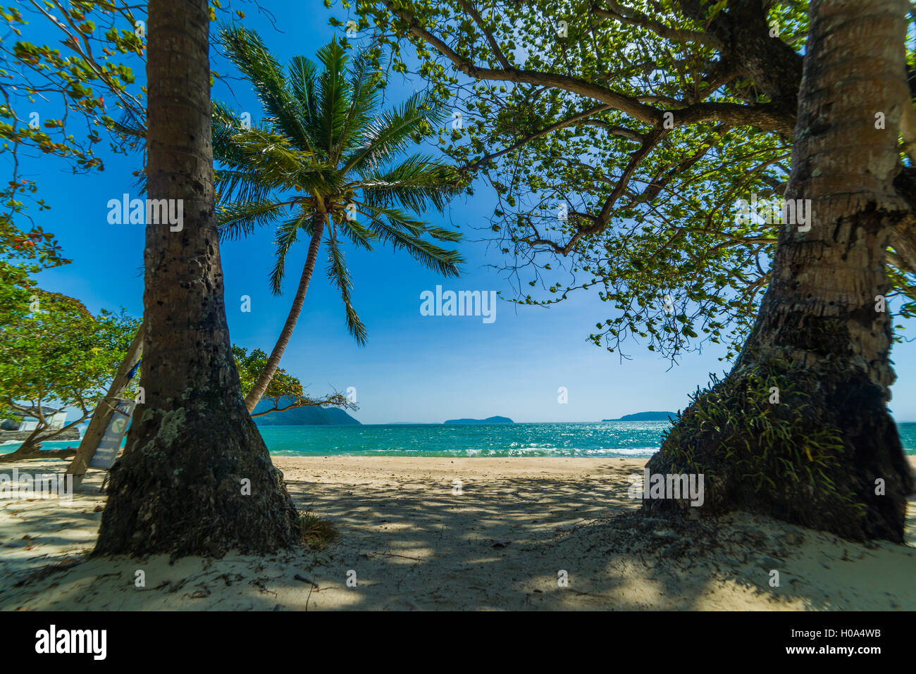 Amazing Tropical beach with coconut trees Stock Photo - Alamy