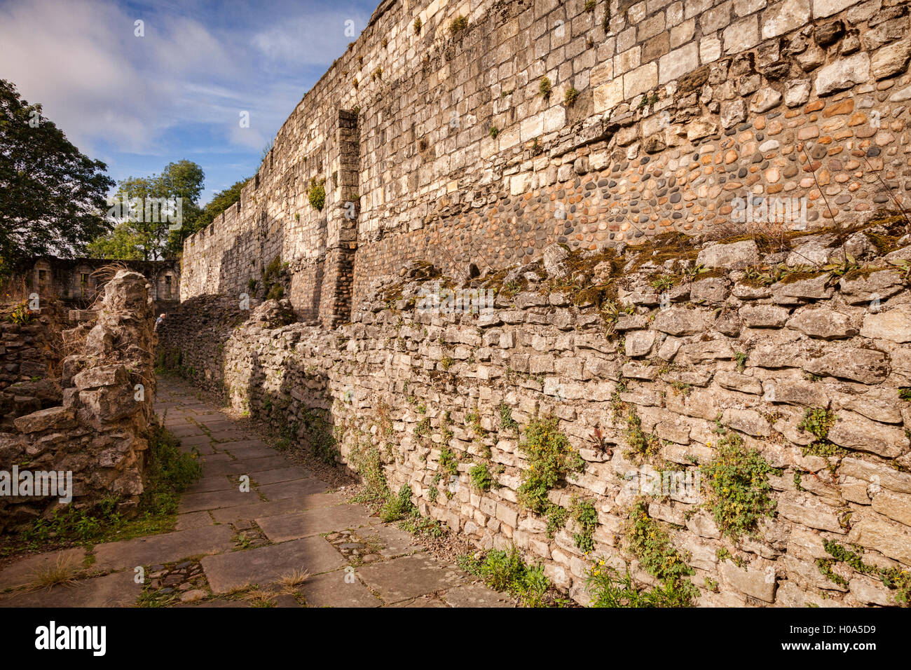 The oldest part of York City Walls, Built around 200AD, North Yorkshire, England, UK Stock Photo