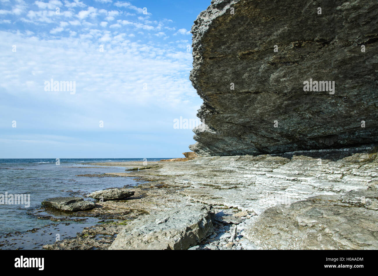 Coastline with eroded limestone cliffs overhand at the swedish island Oland in the Baltic Sea Stock Photo