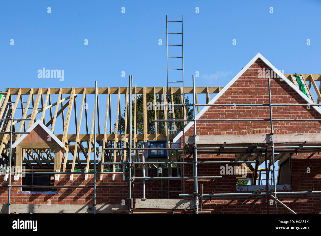 The Half-Built Home