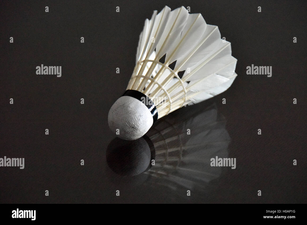 Sport badminton hi-res stock photography and images - Alamy
