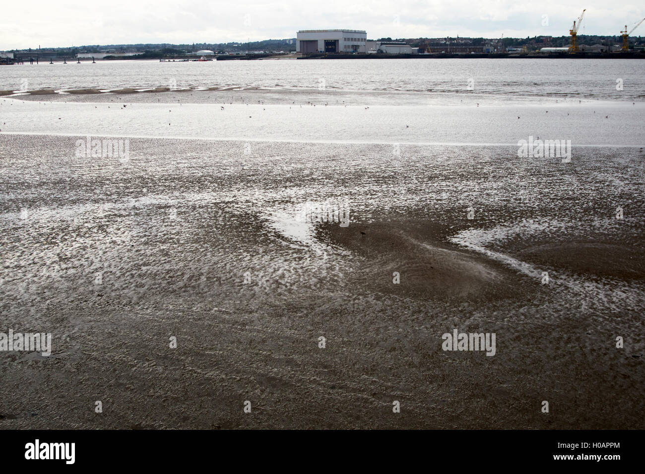 river mersey mud flats at low tide Liverpool Merseyside UK Stock Photo