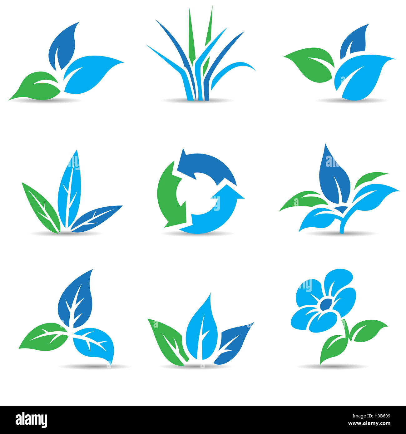 Vector Illustration of Blue and Green Leaves isolated on white Stock ...