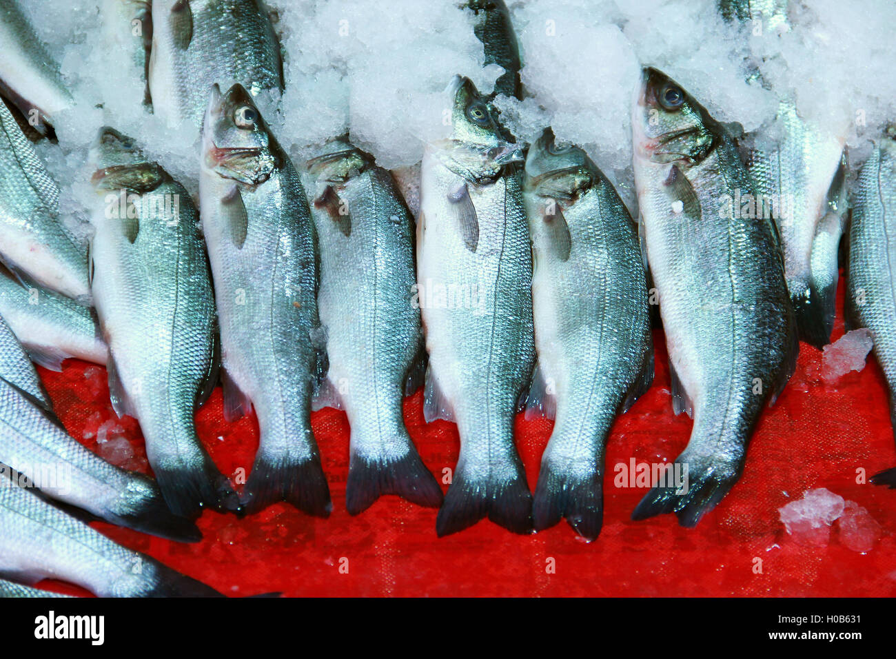 Fresh herring fish on a market stall Stock Photo Alamy