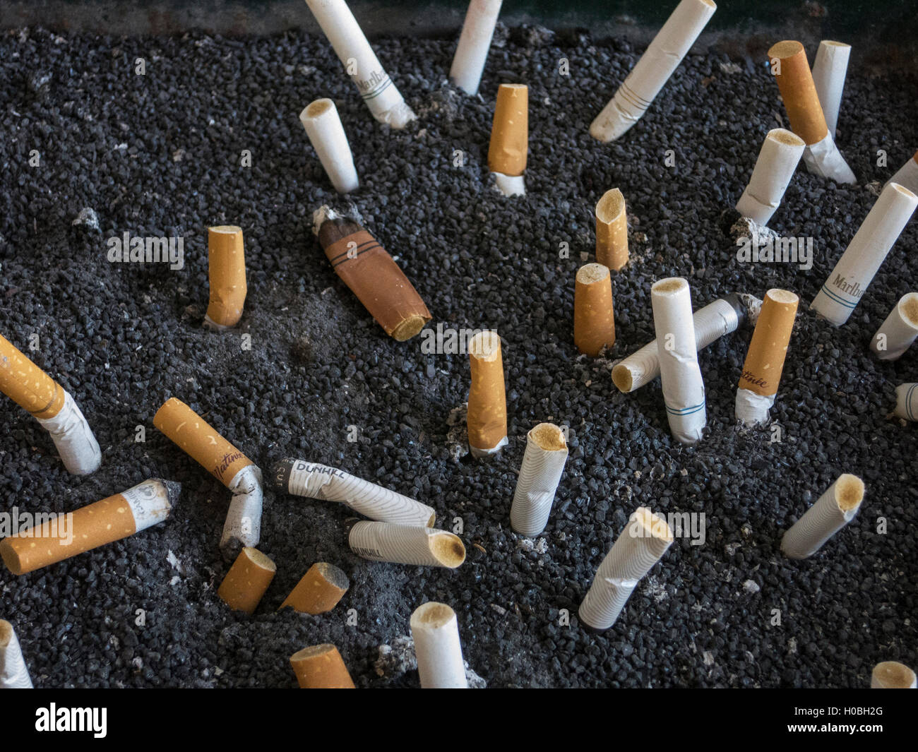 Cigarette butts Stock Photo