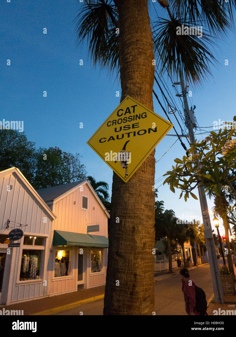 Street sign in Bahama Village, Key West, warning motorist about cats crossing the street Stock Photo