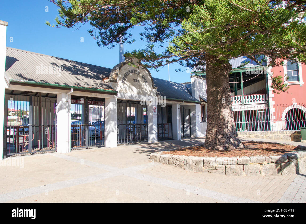 Exterior of the Fremantle Oval ticket office with norfolk pine in
