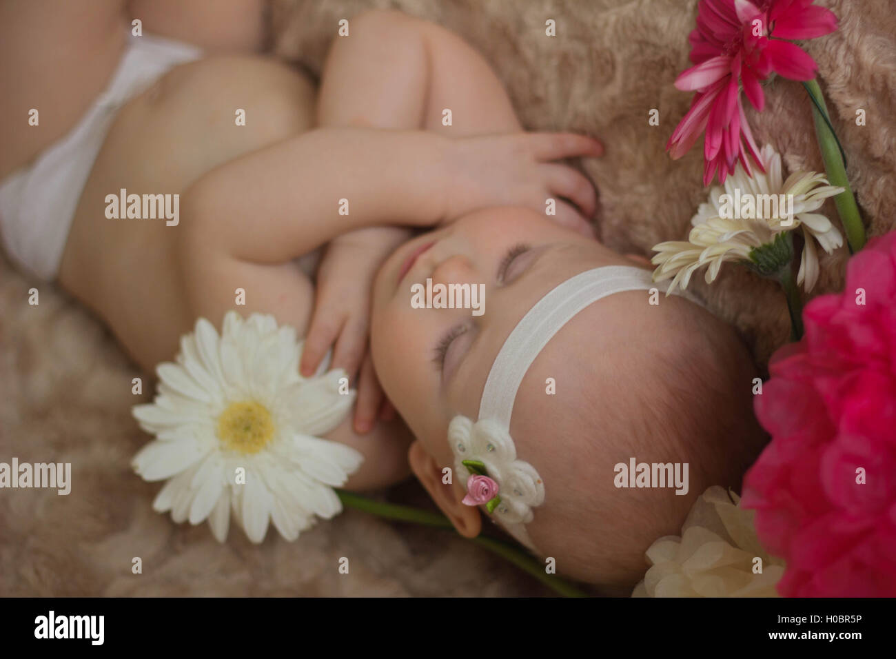 Sleeping baby in the flowers Stock Photo Alamy