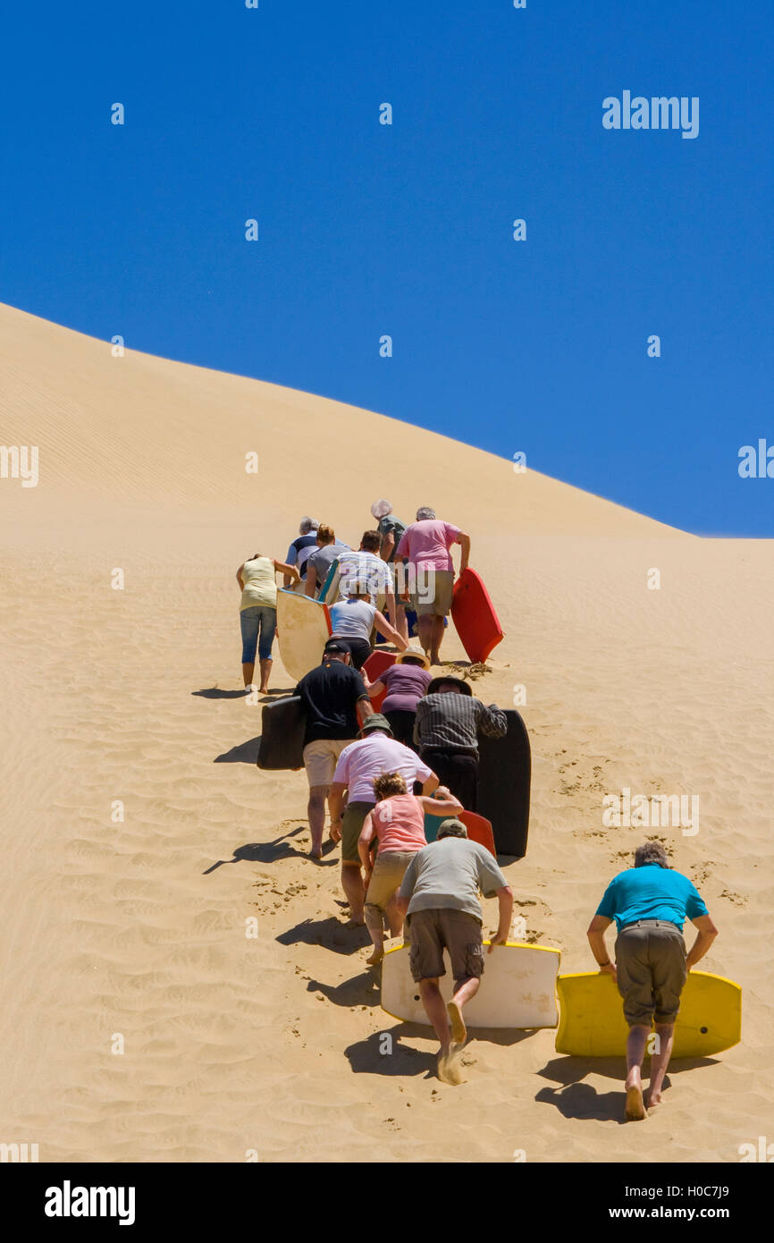 People climbing a high sand dune in New Zealand Stock Photo Alamy