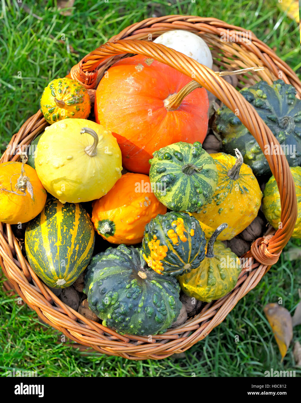 basket with different types of pumpkins Stock Photo