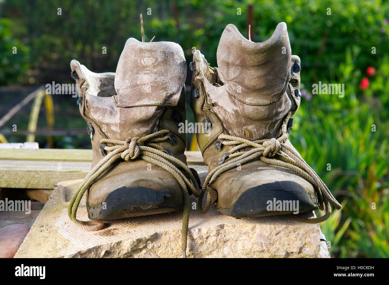 Old boots for gardening Stock Photo