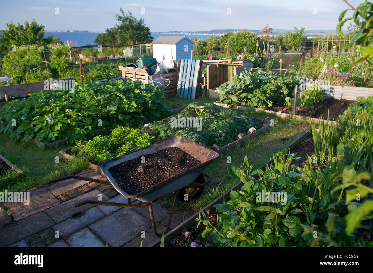 Allotments uk hires stock photography and images Alamy