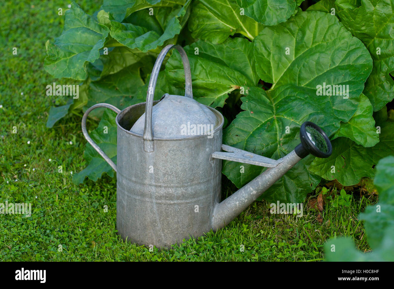 Watering can in garden Stock Photo