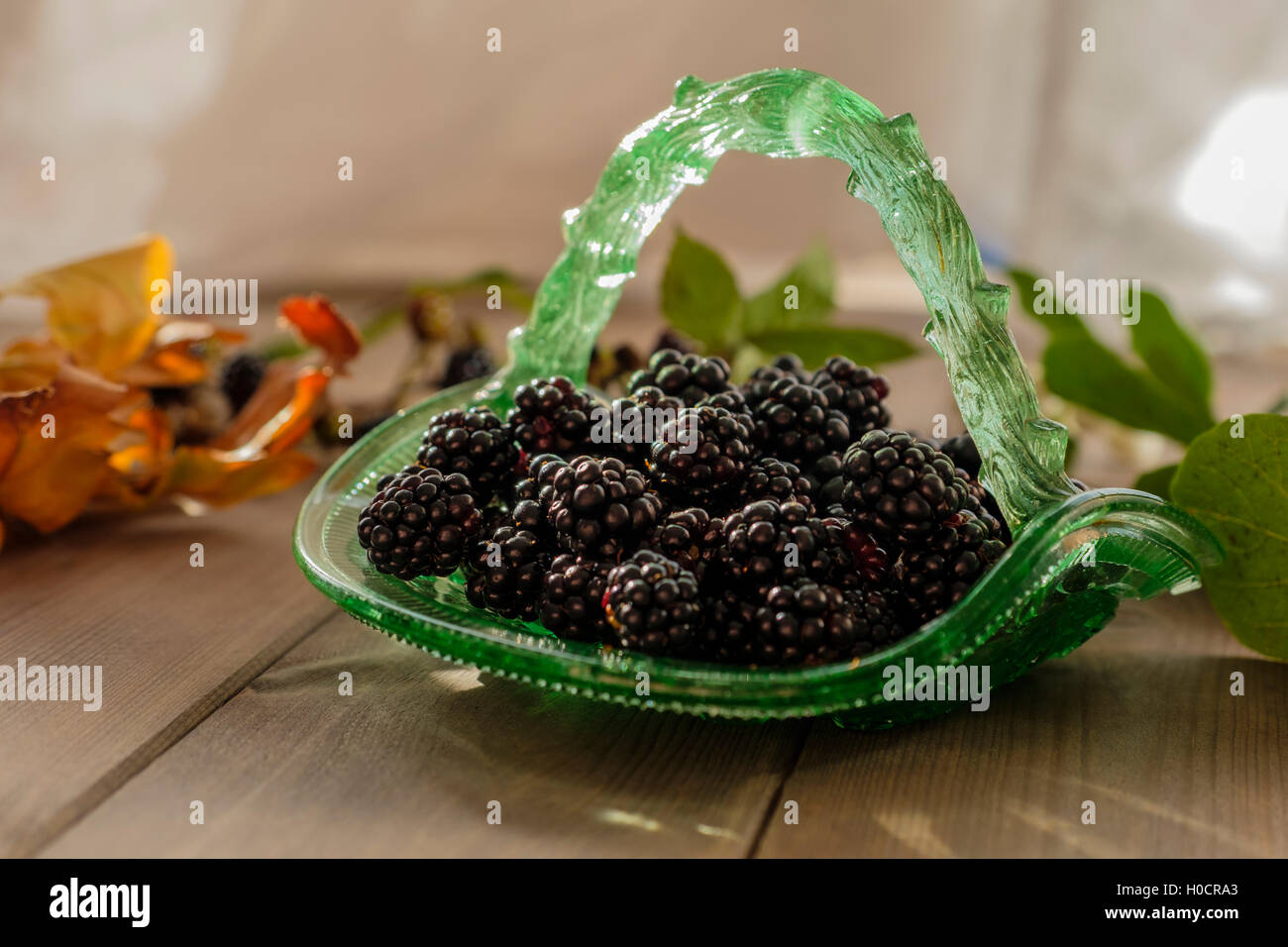 Autumnal table setting of juicy blackberries in a vintage green glass basket on wooden table with out of focus foliage Stock Photo