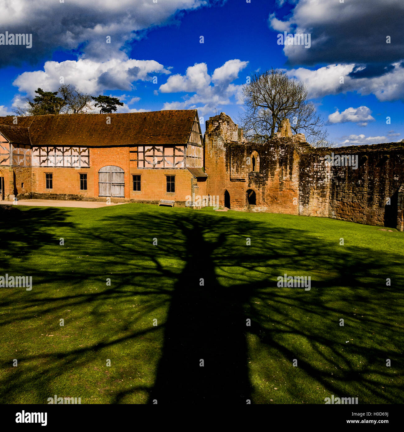 kenilworth, castle, england, warwickshire, uk, midlands, history