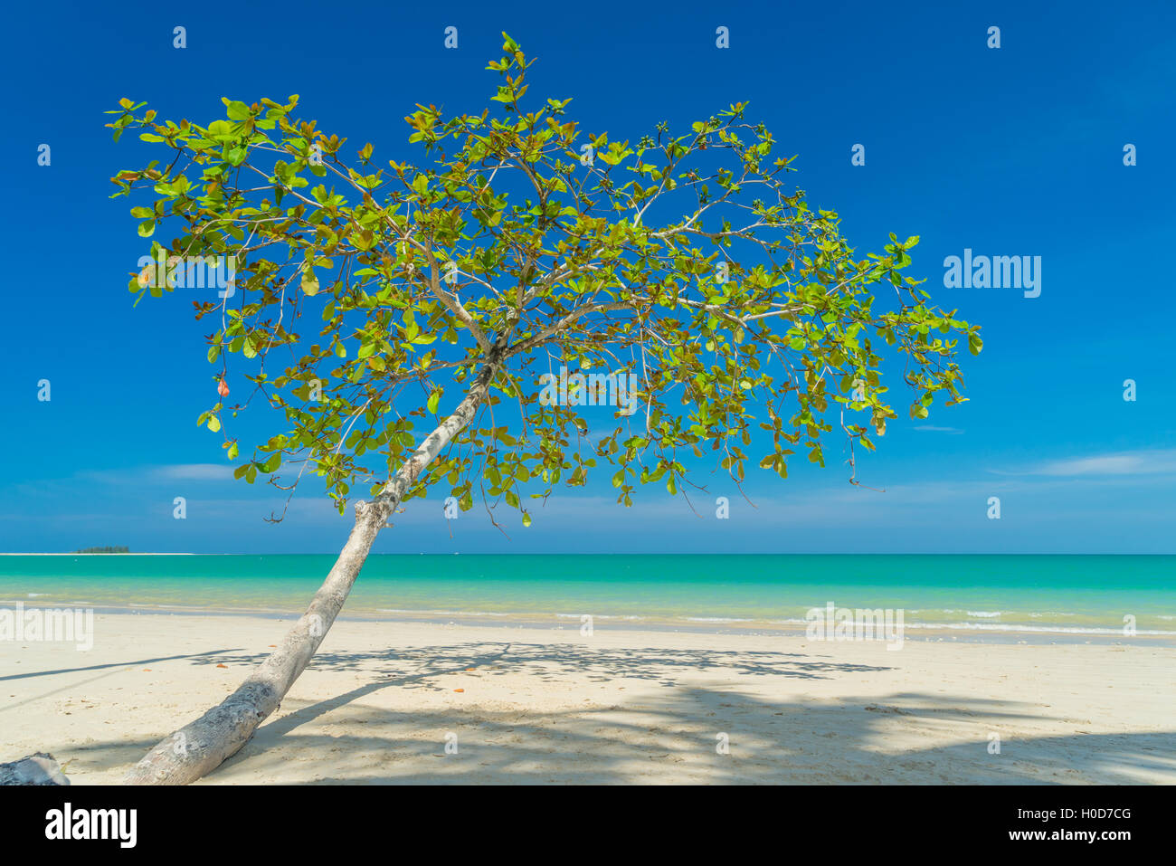 White sand beach Khao Lak in Thailand Stock Photo Alamy
