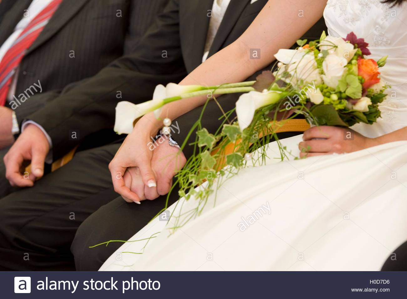 BLWX096005 [ (c) blickwinkel/McPHOTOx/Foto Begsteiger Tel. +49 (0)2302-2793220, E-mail: info@blickwinkel.de, Internet: www.blick Stock Photo
