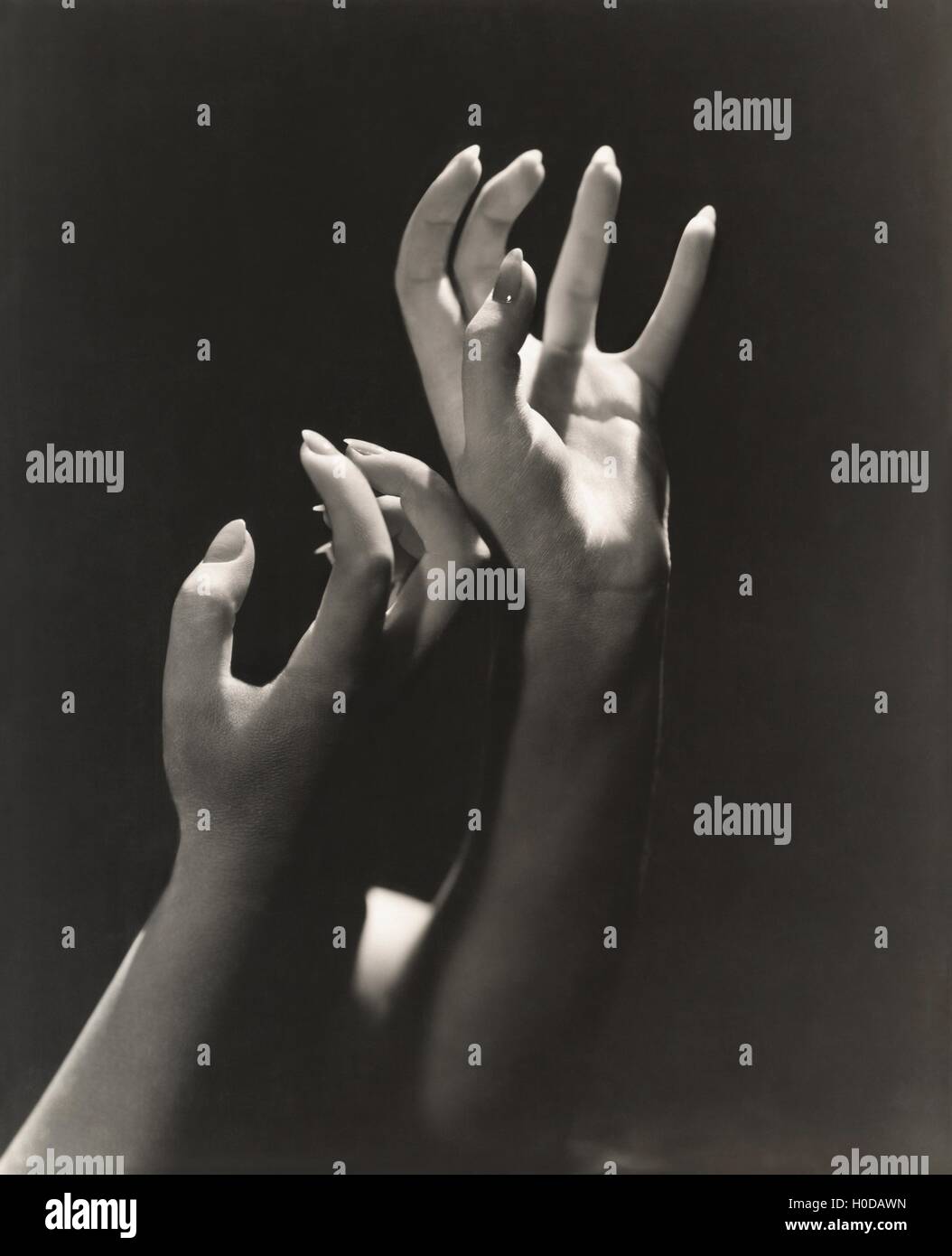 Reaching for the stars Stock Photo