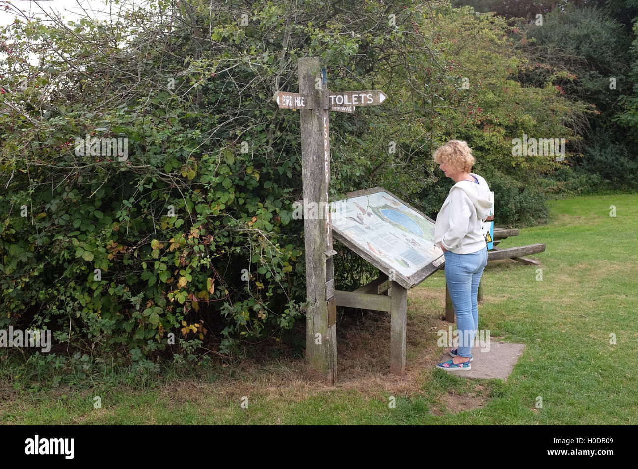 Woman walker reading information signs at Arlington Reservoir in East