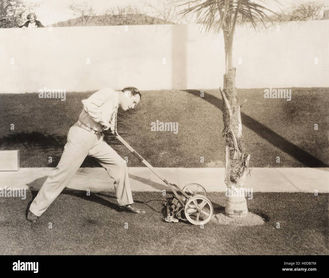 Man attacking palm tree with lawn mower Stock Photo - Alamy