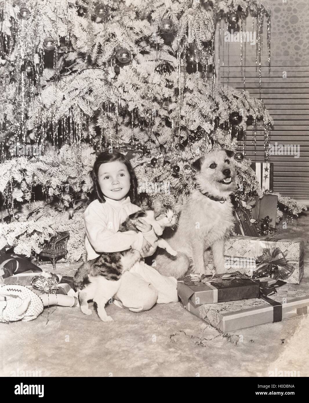 Little girl receives a cat and dog for Christmas Stock Photo