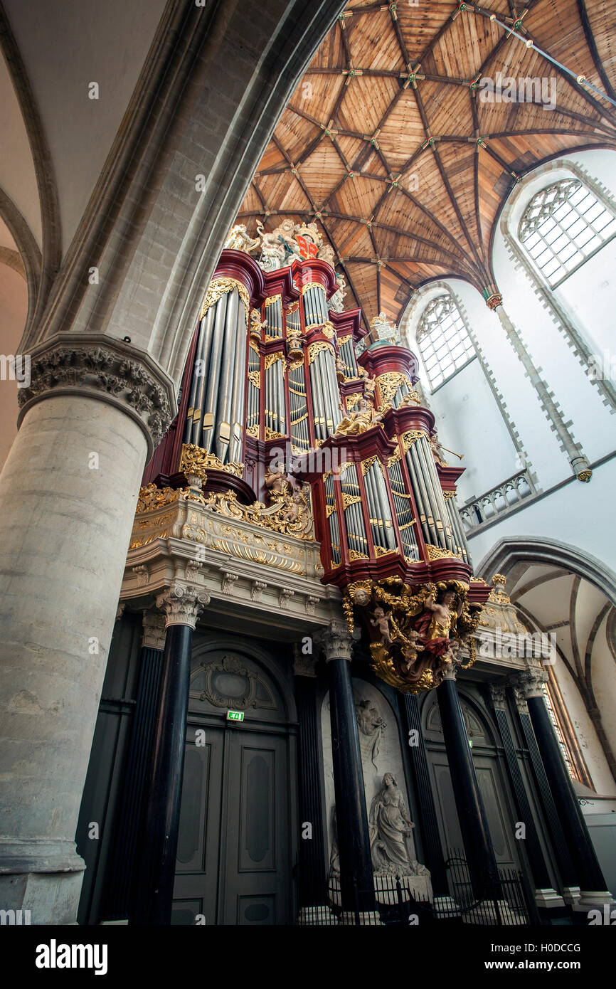 Interior and Muller Organ, St, Bavo Church (Grote Kerk), Haarlem, Netherlands Stock Photo
