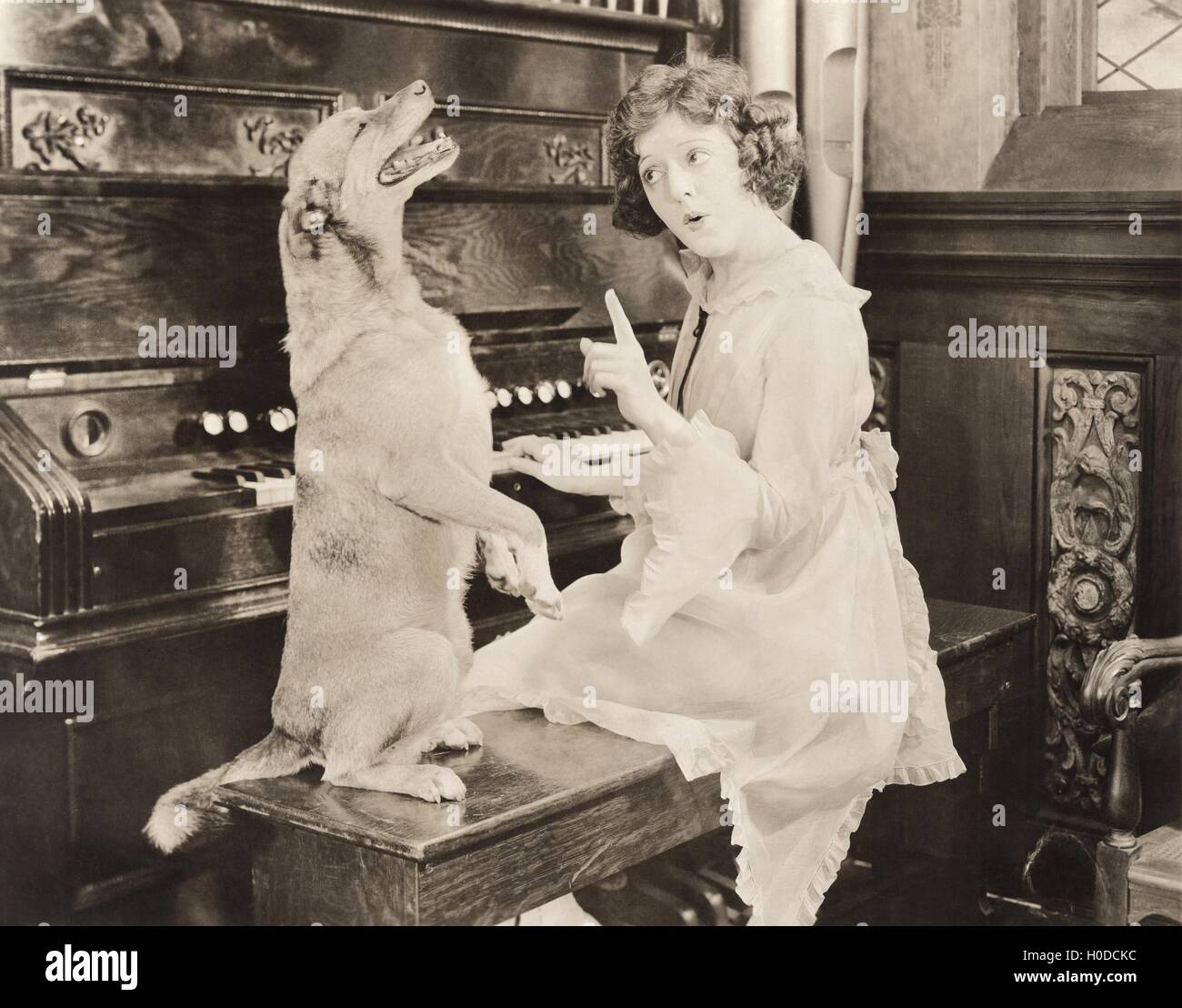 Dog accompanying woman on piano Stock Photo