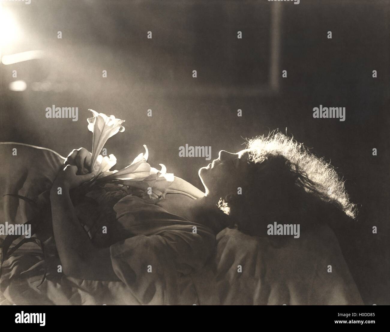 Sunlight falling on woman with flowers sleeping in bed Stock Photo