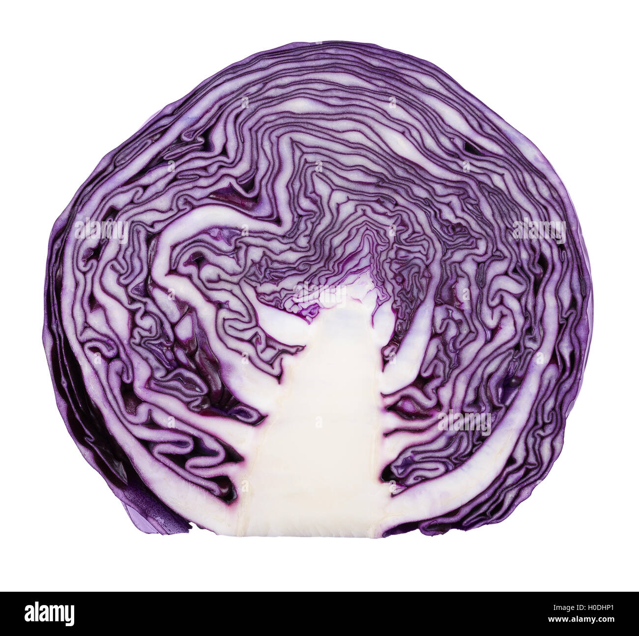 Red cabbage cross-section over white background. Purple-leaved variety of Brassica oleracea, also known as purple cabbage. Stock Photo
