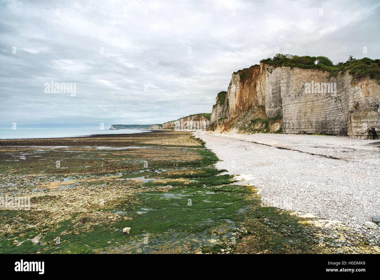 Yport and Fecamp, Normandy. Beach, cliff and rocks in low tide ocean. France, Europe. Stock Photo