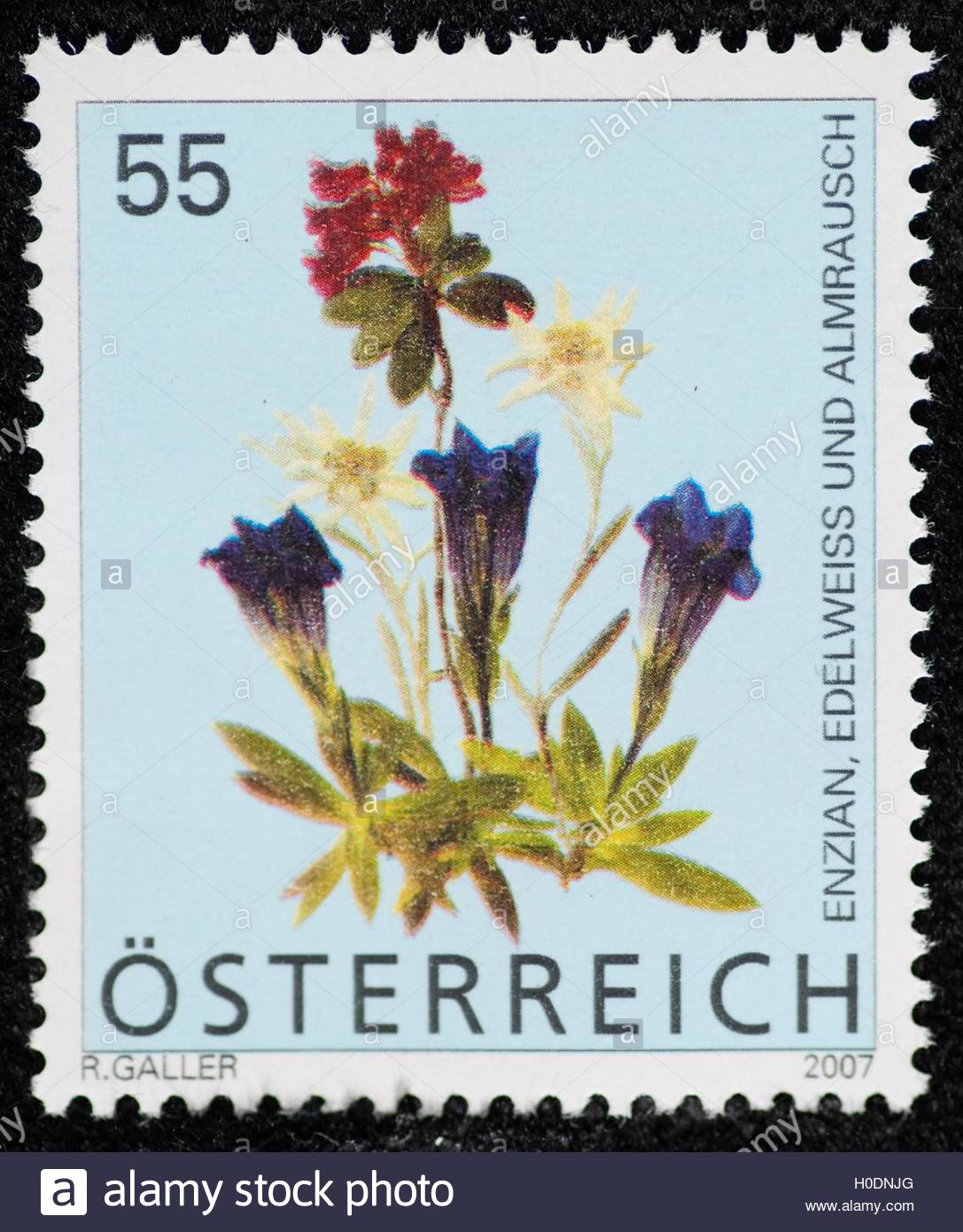 Blwx098477 C Blickwinkelmcphotoxfoto Begsteiger Tel 49 Stock